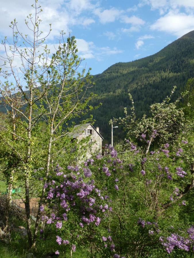 La Cerisole Saint-Étienne-de-Tinée Exterior foto